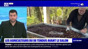 JT du Sud du mercredi 21 février