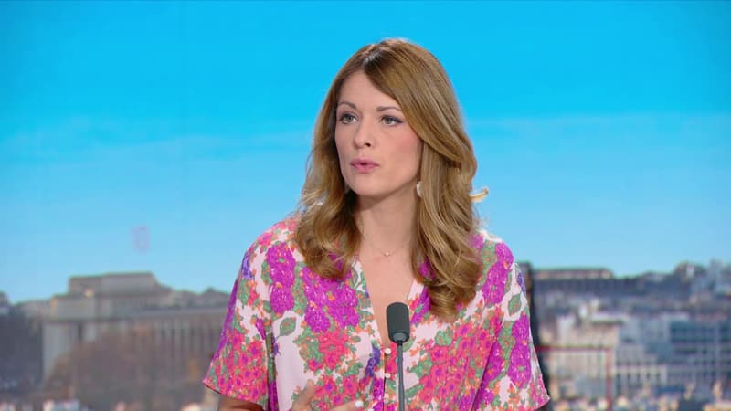 DIRECT. Canicule: Maud Bregeon affirme que "les hôpitaux tiennent" et n'ont "pas observé de tension"