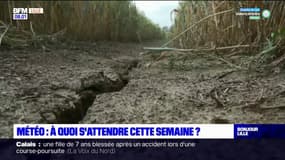 Averses, orages: à quoi faut-il s'attendre cette semaine dans le Nord-Pas-de-Calais?