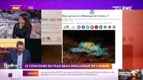 L'histoire de Charles Magnien : Le concours du plus beau "Mollusque de l'année" - 24/03