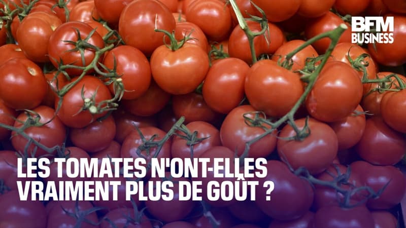 Les tomates n'ont-elles vraiment plus de goût?