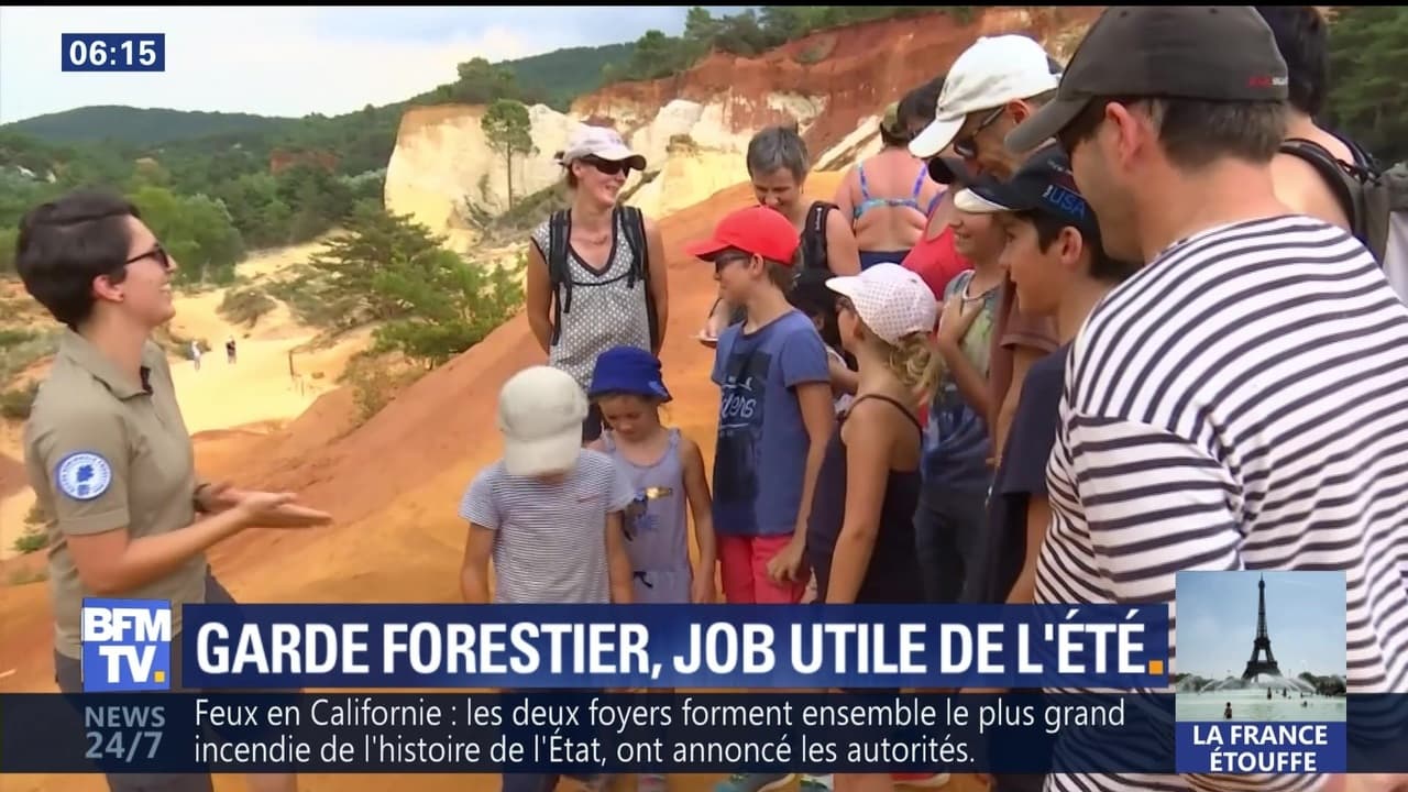 La D Couverte Du M Tier De Garde Forestier