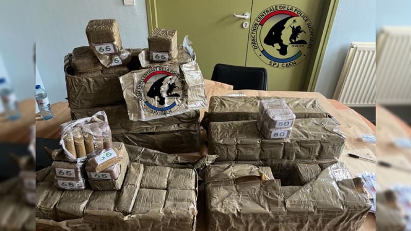 Le mercredi 26 juillet dernier, les policiers de la brigade de nuit de Caen ont saisi 80 kg de résine de cannabis dans une voiture.