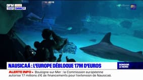 Boulogne-sur-Mer: 17 millions d'euros pour l'extension de Nausicaa financés par la Commission européenne