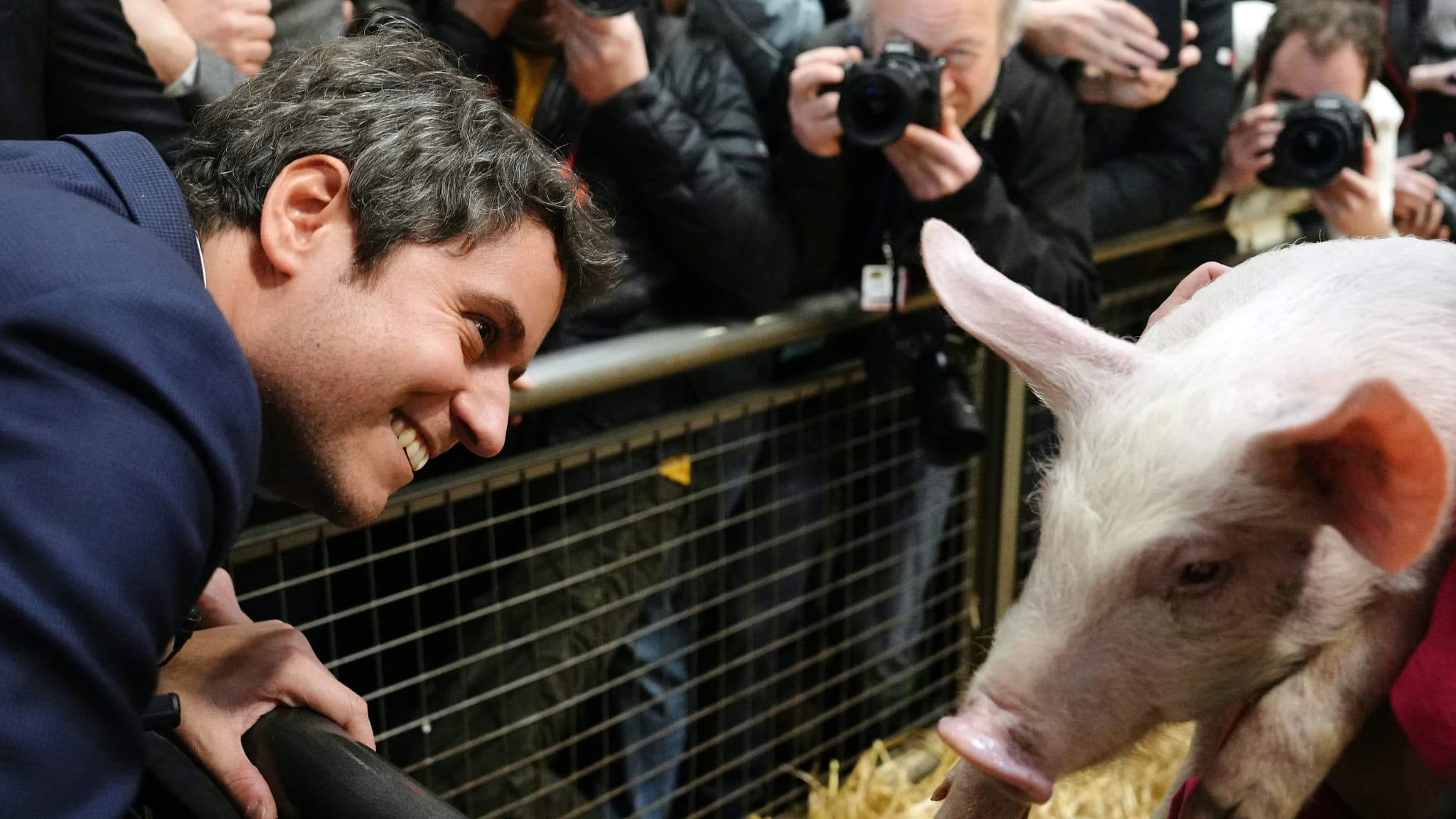 Le Premier ministre français Gabriel Attal regarde un porc lors de sa visite au Salon international de l'agriculture à Paris, le 27 février 2024.
Le Premier ministre français Gabriel Attal regarde un porc lors de sa visite au Salon international de l'agriculture à Paris, le 27 février 2024.