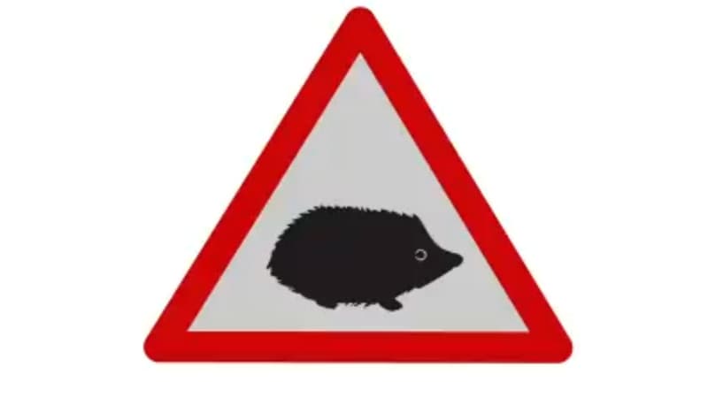 "Attention aux petits animaux sauvages", c'est ce qu'indique ce nouveau panneau introduit au Royaume-Uni.