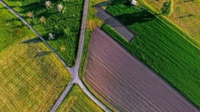Le Sénat a donné son feu vert à une meilleure régulation du foncier agricole. 