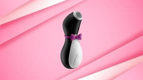 Ce sextoy Satisfyer Pro est à prix sensuellement bas, faites vous plaisir en solitaire