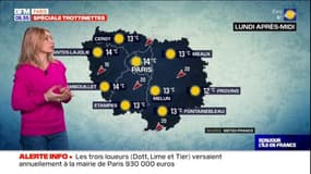 Météo Paris Ile-de-France: du soleil et jusqu'à 14°C dans la capitale