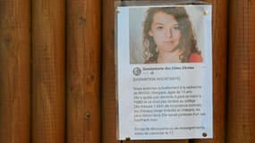L'appel à témoins de la gendarmerie des Côtes-d'Armor après la disparition de Morgane Rivoal, 13 ans, disparue près de Pabu, en banlieue de Guingamp (Côtes-d'Armor), le 25 novembre 2024