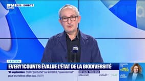 Le Pitch : Every1Counts évalue l'état de la biodiversité - 09/09