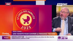 Le gouvernement va proposer une vignette pour contrer la tendance "no kids"