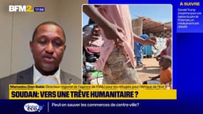 Massacres au Soudan: "C'est une violence inouie dont la brutalité n'a plus de mise au 21e siècle", affirme le représentant de l'ONU sur BFM2