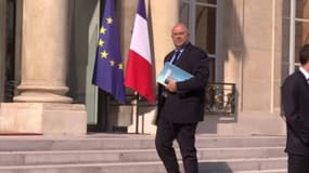 Un nouveau pesticide tueur d'abeilles autorisé: le ministre de l'Agriculture se défend de toute "trahison"