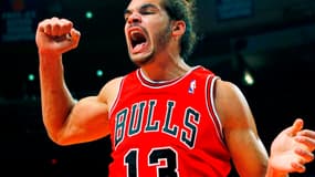 Joakim Noah