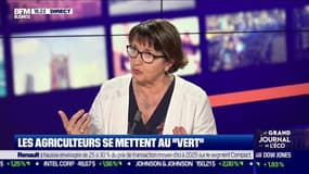 Christiane Lambert (FNSEA): "on est pas sourd, on entend les sollicitations de la société et des marchés" sur le bio et l'environnement