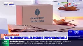 Planète Locale du lundi 24 juin - Recycler des feuilles mortes en papier durable 