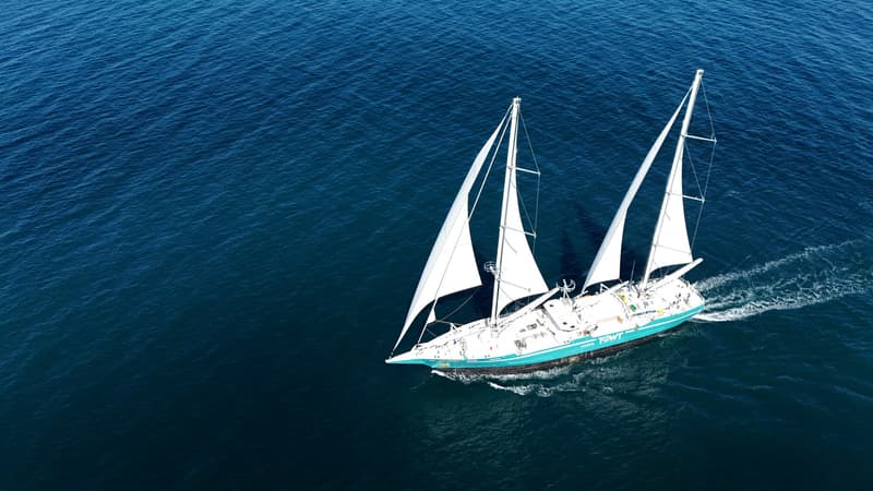 Les droits de douane de Trump et les retards de livraison ont plombé les cargos à voile: la compagnie maritime TOWT est placée en liquidation judiciaire et a un mois pour trouver un repreneur