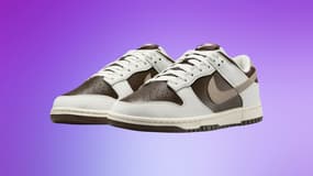Black Friday : ces Nike Dunk Low à prix fracassé risquent de ne pas rester en stock pendant longtemps