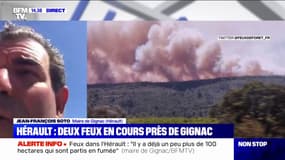Incendies dans l'Hérault: pour le maire de Gignac, "il n'y a pas de fortes évacuations, mais on se prépare à toute éventualité"