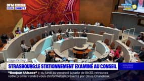 Strasbourg: un nouveau tarif de stationnement examiné en conseil municipal