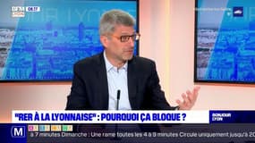 "RER à la lyonnaise": Christophe Geourjon veut favoriser les déplacements en train dans la métropole