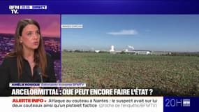 LE CHOIX D'AMÉLIE - Arcelormittal: que peut encore faire l'État ?