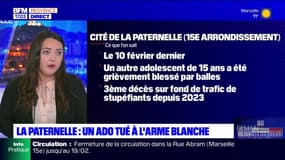 Marseille: un adolescent de 17 ans tué à l'arme blanche à La Paternelle