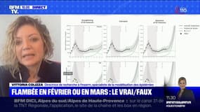 Vittoria Colizza, directrice de recherche à l'INSERM: "Le 16 janvier, nous avions indiqué que le variant britannique allait devenir dominant vers fin février/début mars"