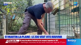 Saint-Martin-la-Plaine: sinistré par les inondations, ce zoo veut vite rouvrir
