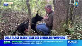 Bonsoir DICI du mardi 30 septembre 2025