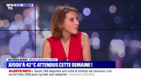 "Fermer les volets en journée", "porter des vêtements amples": les conseils du docteur Faïza Bossy pour supporter la canicule