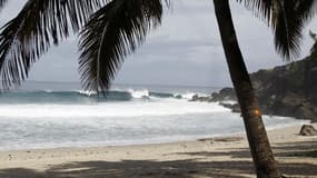 Une plage à la Réunion. Après le décès d'une adolescente tuée lundi par un requin, le député MoDem de la Réunion Thierry Robert a annoncé mardi la saisine en urgence du tribunal administratif de Saint-Denis dans le but d'obliger l'Etat à prendre des mesur