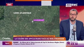 La colère des apiculteurs face à la concurrence des miels étrangers