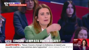 Adoption du budget: "Je pense que les socialistes ont eu peur", estime Marine Tondelier (Les Écologistes)