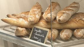 Le pain reste un produit incontournable lors des repas pour bon nombre de Français.