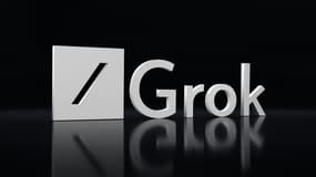 Grok X (ex-Twitter).