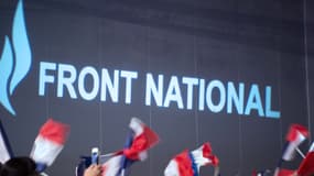 Des drapeaux agités par des militants du Front national lors d'un meeting le 15 septembre 2013 à Marseille
