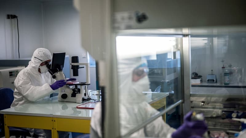 Des scientifiques dans un laboratoire lyonnais, le 5 février 2020.