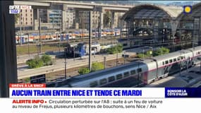 Grève à la SNCF: journée de galère pour les usagers de la ligne Nice-Tende