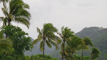 Cliquer sur la photo pour voir les autres photos