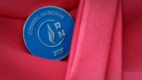 Rassemblement national (illustration)