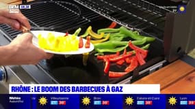 Le boom des barbecues à gaz