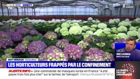 Les horticulteurs sont eux aussi frappés par le confinement