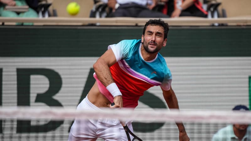 M. Cilic