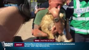 Coincé 5 jours dans une canalisation, Billy le chien est sauvé: l'émotion de son maître sur RMC