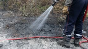 Plus de 900 hectares de broussailles et de forêt ont été détruits par des incendies en Ariège (illustration).