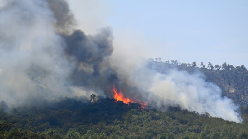 Un jeune homme de 19 ans a été mis en examen pour avoir provoquer au moins 8 feux dans les Bouches-du-Rhône.