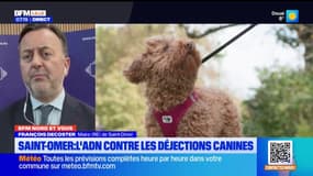 BFM Nord et vous: Saint-Omer lutte contre les déjections canines à travers le fichage ADN