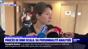 "Violeur de la Sambre": la personnalité de l'accusé analysée hier devant les assises de Douai